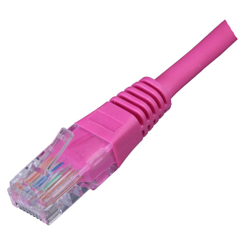Câble de raccordement Cat6 RJ45 U/UTP PVC 24 AWG moulé encastré avec gaine
