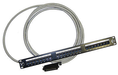 RJ21 AMP GATEWAY Female Socket 25 Pair Telco Cable connected to a 24 Way Cat5e Network Panel