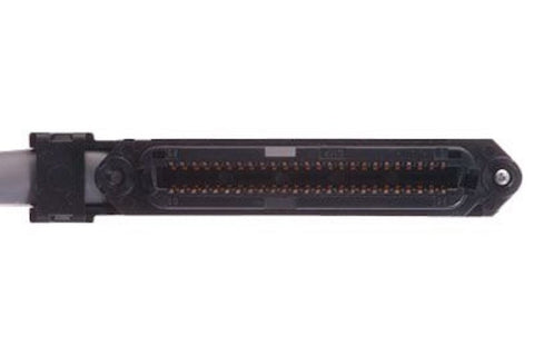RJ21 AMP GATEWAY Female Socket 25 Pair Telco Cable connected to a 24 Way Cat5e Network Panel
